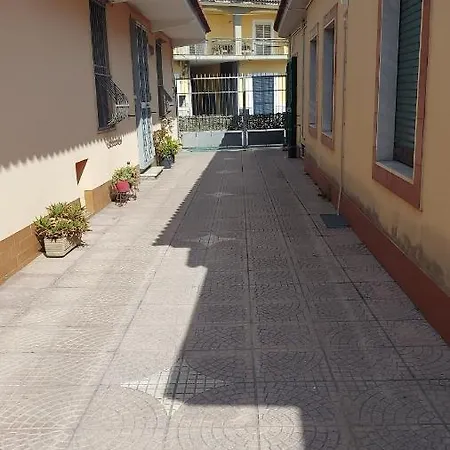 Vitiello Maria's